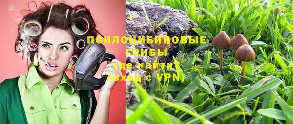 mix Белокуриха