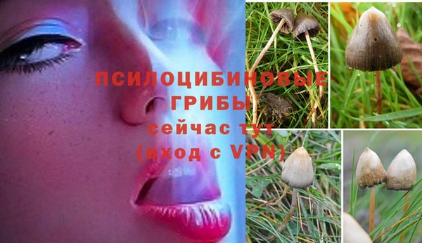 эйфоретик Беломорск