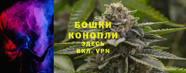 mix Белокуриха