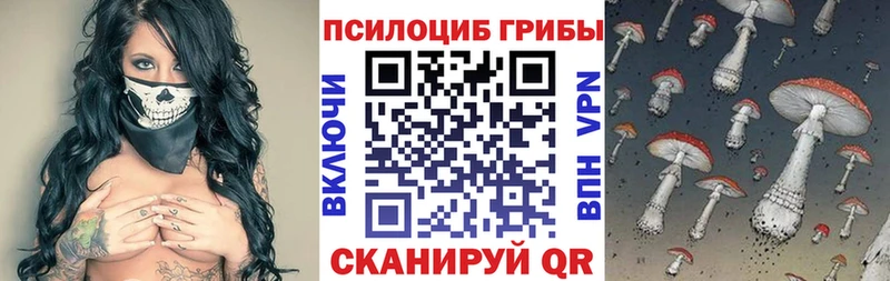Псилоцибиновые грибы Magic Shrooms  Кудрово 